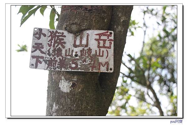 IMG_7979.jpg