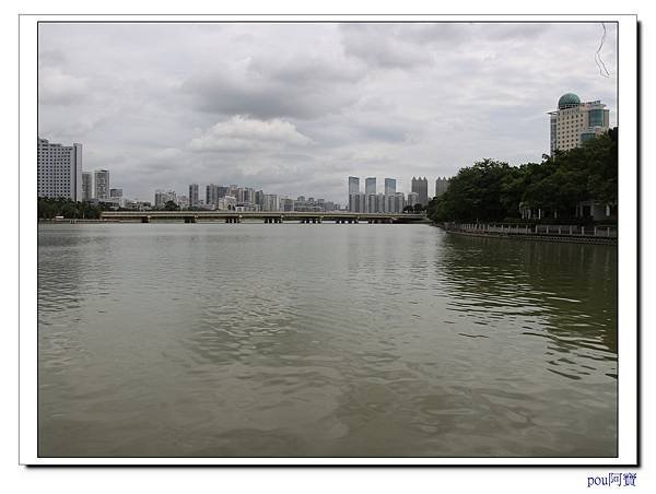 IMG_9993.jpg