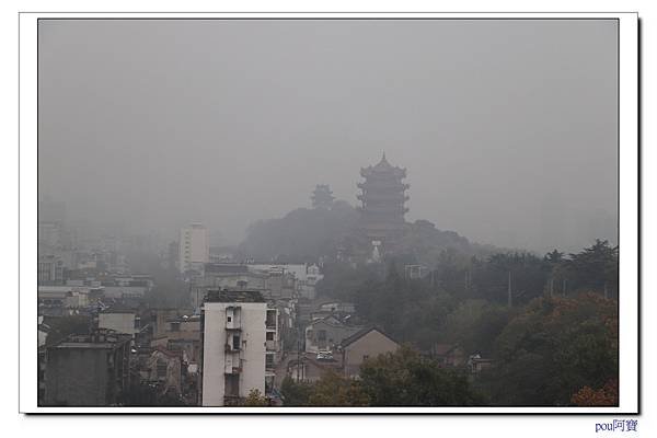 IMG_1719.jpg