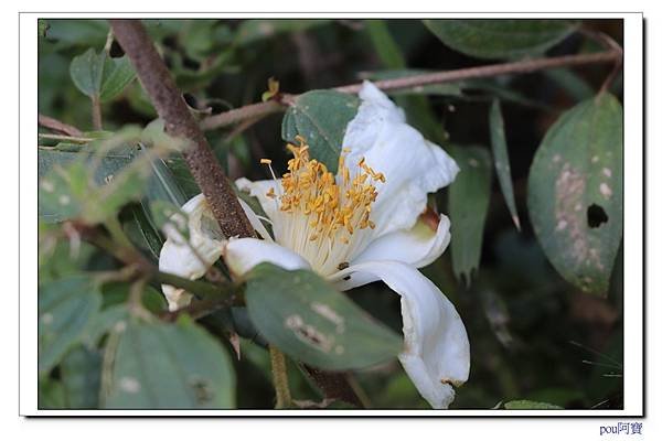 IMG_2305.jpg