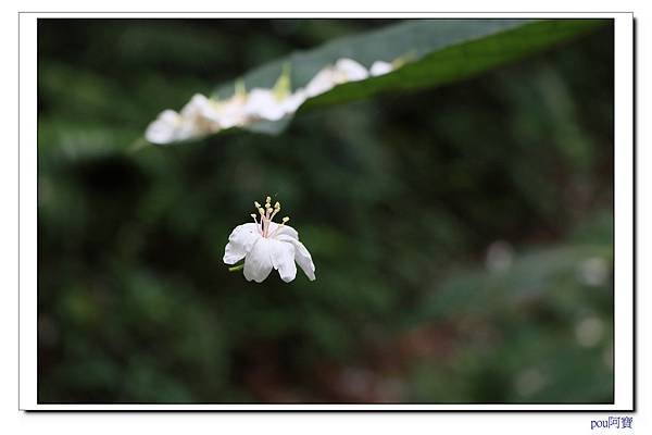 IMG_9603.jpg
