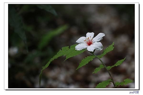 IMG_9669.jpg