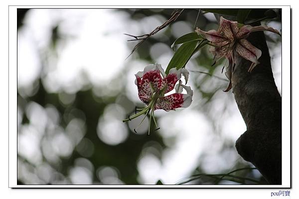 IMG_4908.jpg