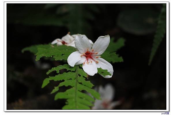 IMG_7989.jpg
