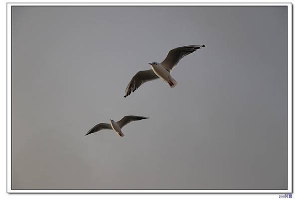 IMG_2846.jpg