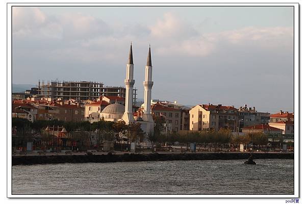 IMG_2826.jpg