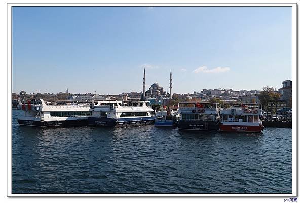 IMG_3011.jpg