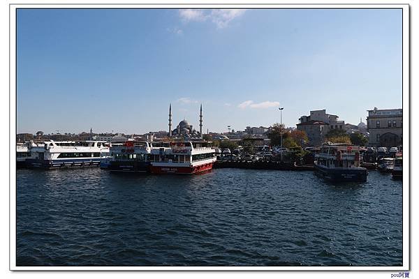 IMG_3009.jpg