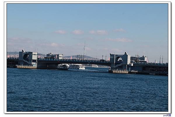 IMG_3010.jpg