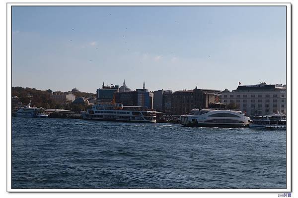 IMG_3029.jpg