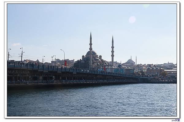 IMG_3024.jpg