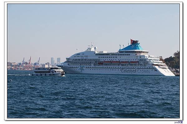 IMG_3041.jpg