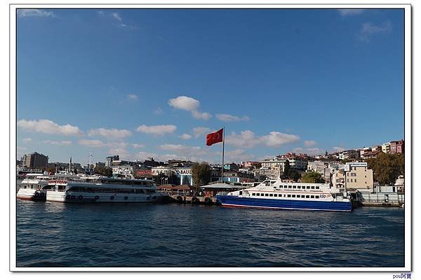 IMG_3100.jpg