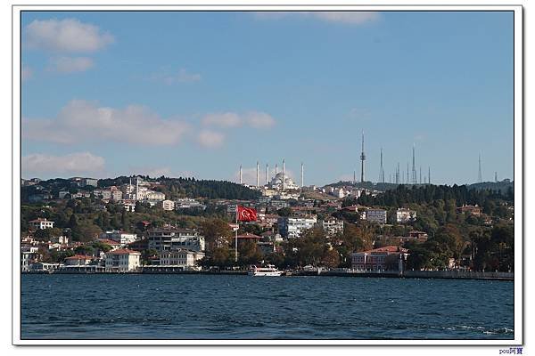 IMG_3123.jpg