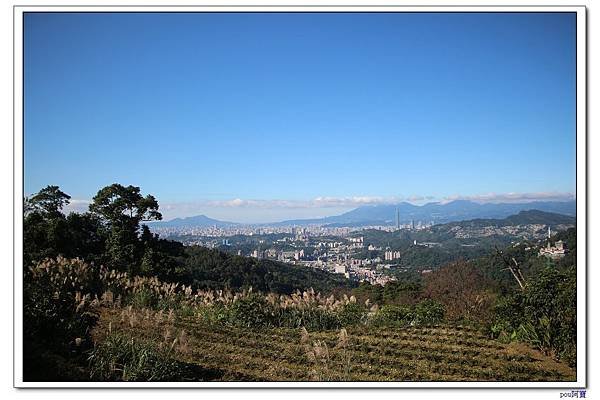 IMG_1134.jpg