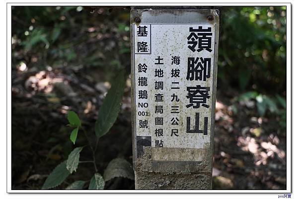 IMG_3834.jpg