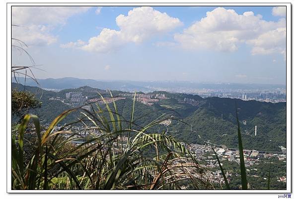 IMG_8696.jpg