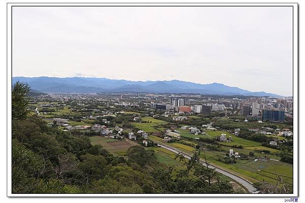 IMG_9968.jpg