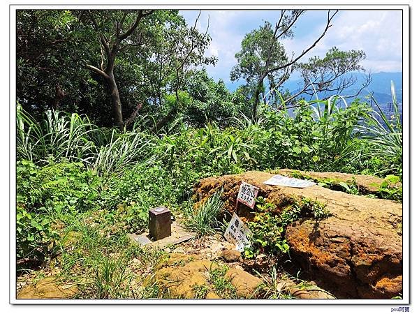 鶯歌 牛灶坑山 龜公山