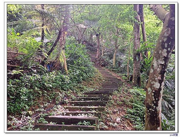 土城 大尖山 牛埔頭山