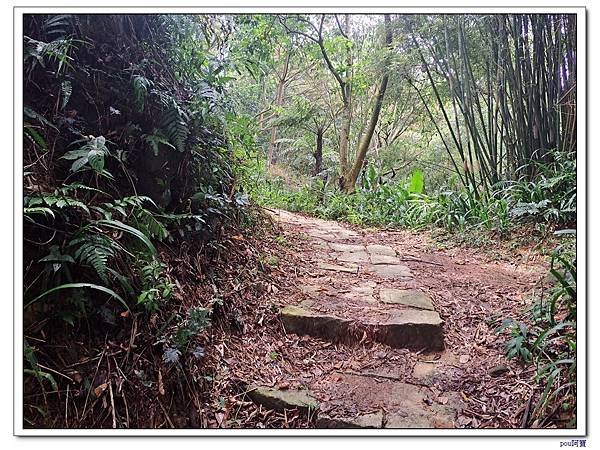 土城 大尖山 牛埔頭山
