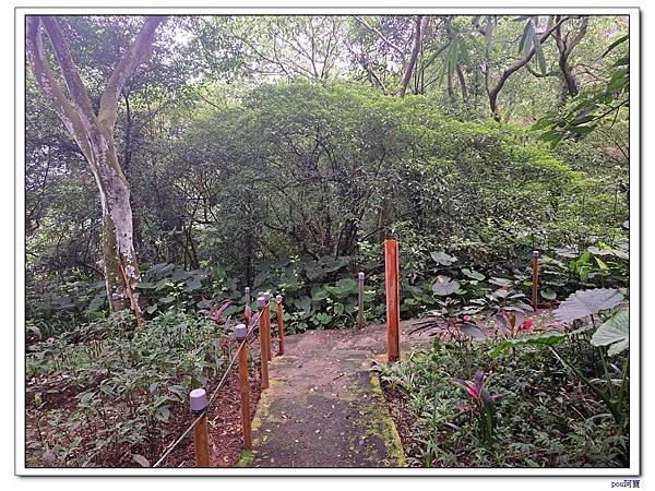 土城 大尖山 牛埔頭山