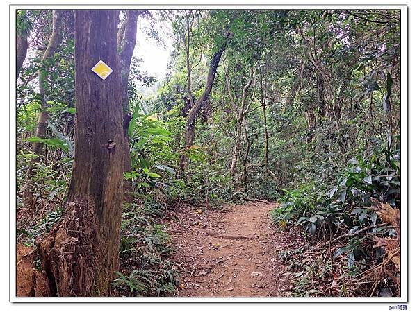 大溪 溪洲山 新溪洲山