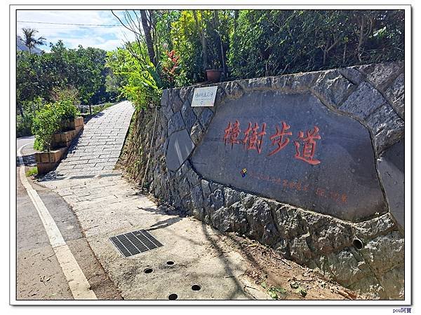 貓空 樟樹步道 待老坑山