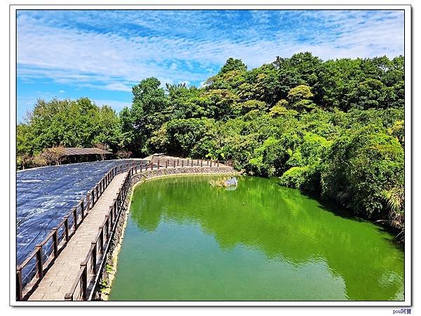 貓空 樟樹步道 待老坑山