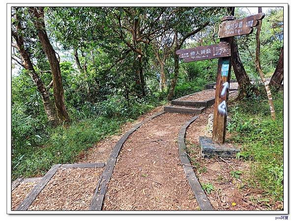 貓空 樟樹步道 待老坑山