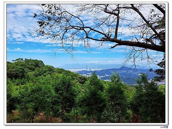 貓空 樟樹步道 待老坑山