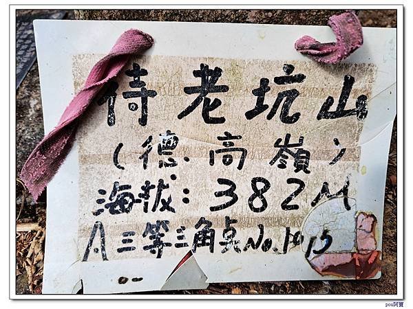 貓空 樟樹步道 待老坑山