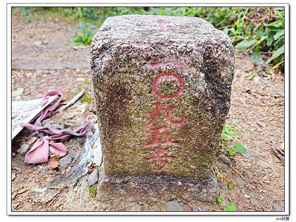 貓空 樟樹步道 待老坑山