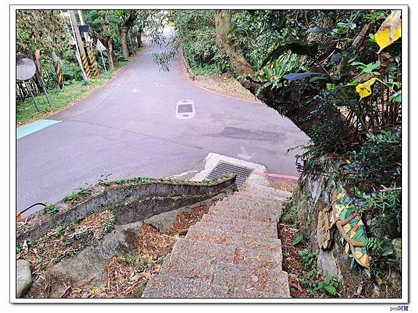 貓空 樟樹步道 待老坑山