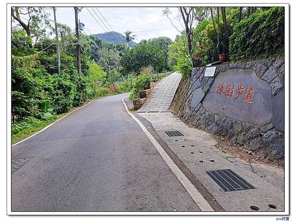 貓空 樟樹步道 待老坑山