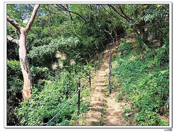 鶯歌 鶯歌石山 彰埔坑山 牛灶坑山 龜公山