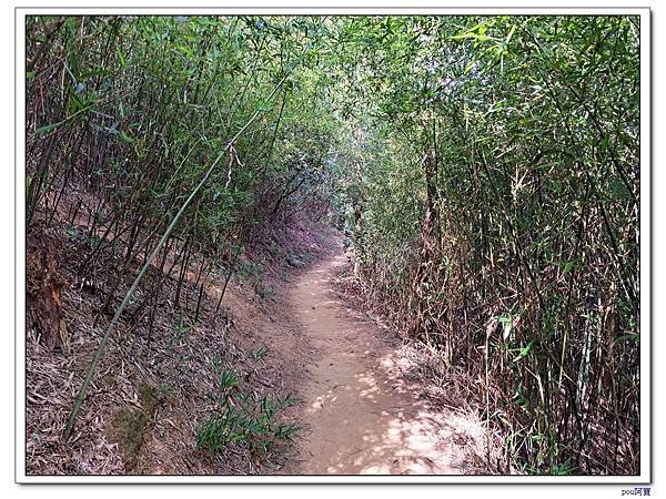 鶯歌 鶯歌石山 彰埔坑山 牛灶坑山 龜公山