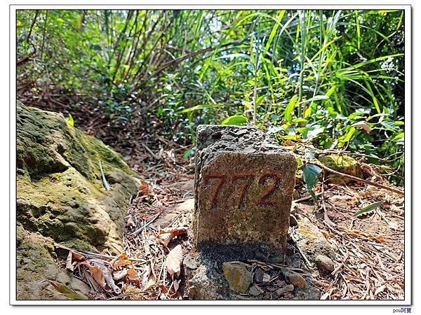 鶯歌 鶯歌石山 彰埔坑山 牛灶坑山 龜公山