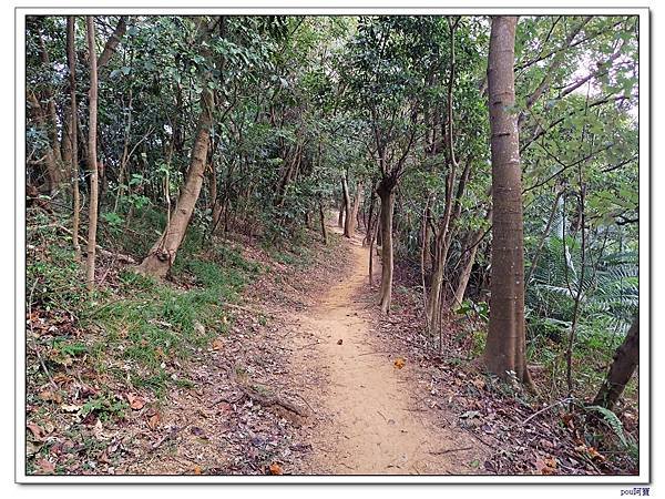 鶯歌 鶯歌石山 彰埔坑山 牛灶坑山 龜公山