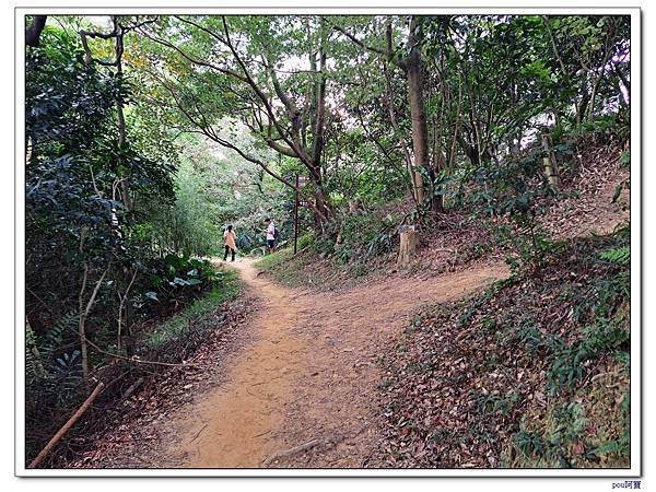 鶯歌 鶯歌石山 彰埔坑山 牛灶坑山 龜公山