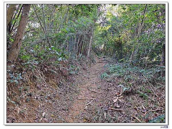 龜山 關公嶺 大青坑崙 青龍嶺