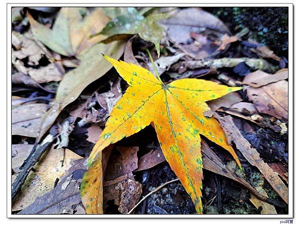 木柵 二格山 南邦寮山