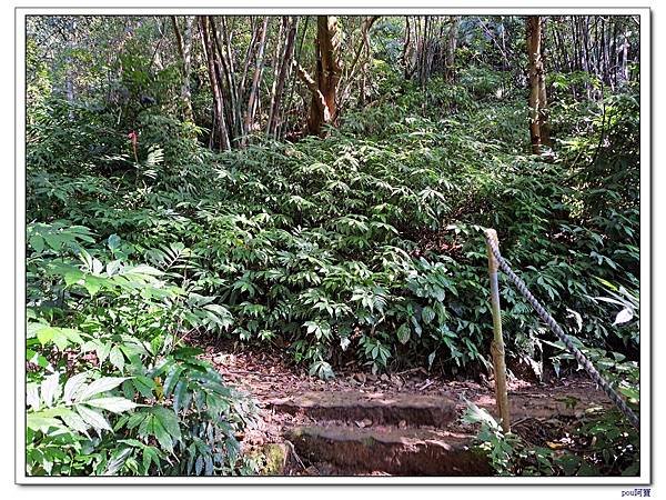 木柵 二格山 南邦寮山