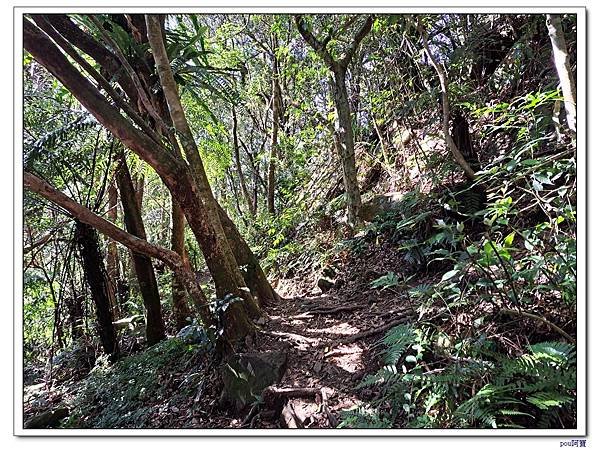 木柵 二格山 南邦寮山