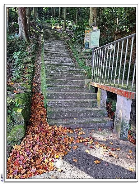土城 南天母山 五城山 天上山