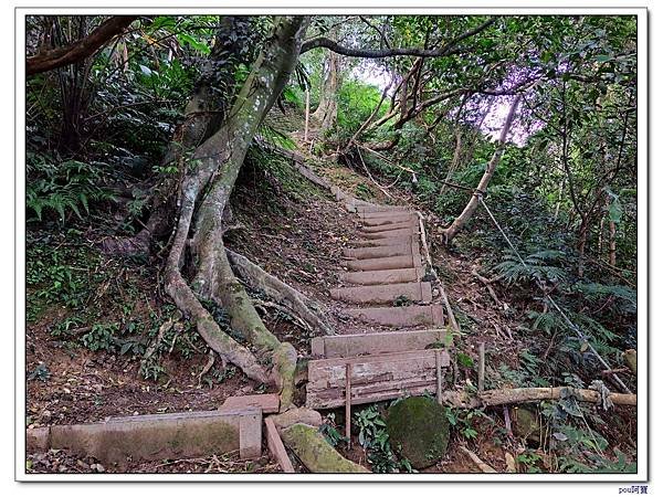 土城 南天母山 五城山 天上山