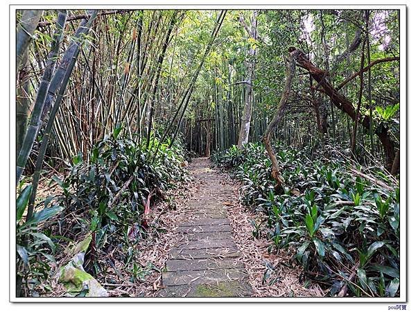 土城 南天母山 五城山 天上山