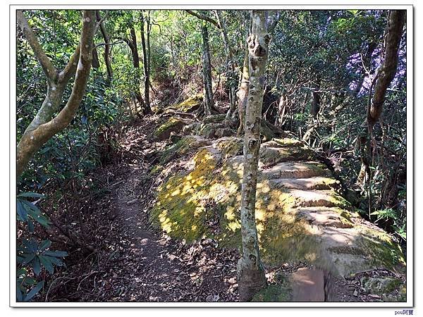 土城 南天母山 五城山 天上山