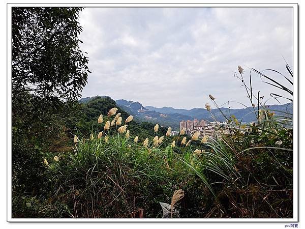 中和 外挖子山 光明頂 南勢角山