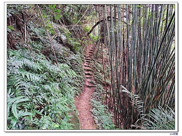 中和 外挖子山 光明頂 南勢角山